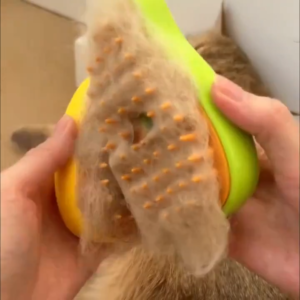 cepillo vaporizador de mascota